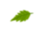alefox