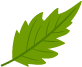 alefox