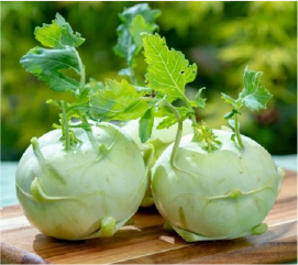 Su Hào