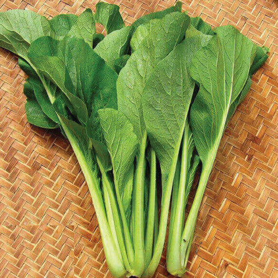 Cải Ngọt